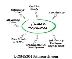 Human Resources