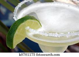 Margarita Margarita
