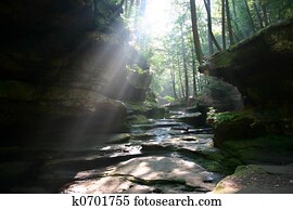Sun shines through Sun shines through