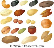 שונה, אגוזים, ו, זרעים