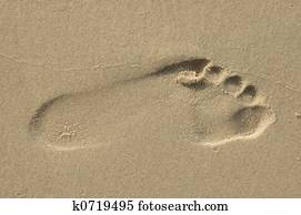 Footprint