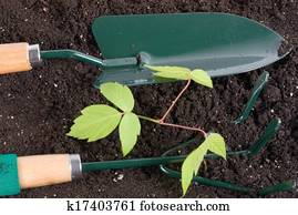 gardening tools