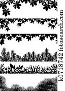 Plant borders Plant borders