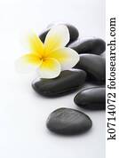 spa stones with frangipani on white background
