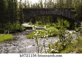 Bridge and flowers