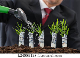 Businessman Watering Money Plants