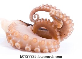 delicatessen octopus seafood delicatessen octopus seafood