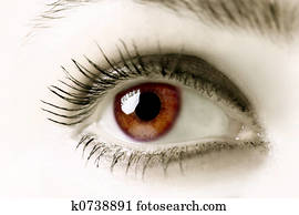 Brown Eye
