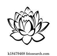 Lotus Lotus