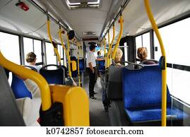 bus bus