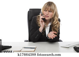 Businesswoman having a discussion on the phone