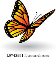 Butterfly Butterfly