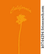 California California