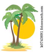 Palm trees Palm trees