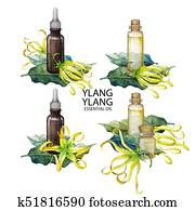 Watercolor ylang ylang oil collection Watercolor ylang ylang oil collection