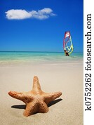 Beach Summer Scene Beach Summer Scene