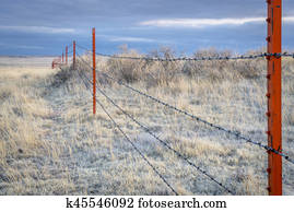 cerca arame farpado, em, Pawnee, gramado