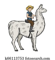 Child boy riding llama engraving color vector illustration. Scratch board style imitation. Black and white hand drawn image. Child boy riding llama engraving color vector illustration. Scratch board style imitation. Black and white hand drawn image.