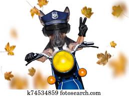 motorcycle police dog on autumn or fall motorcycle police dog on autumn or fall