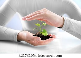 proteção, de, agricultura