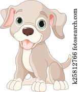 Cute puppy Cute puppy