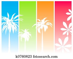 summer dream summer dream
