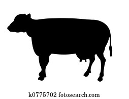 Cow Cow