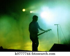Guitarist On Stage Guitarist On Stage