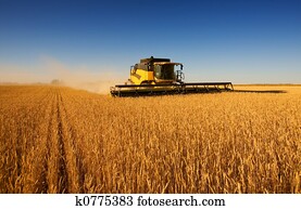 Harvest work Harvest work