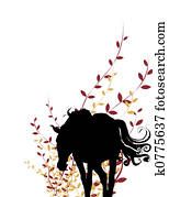 horses horses