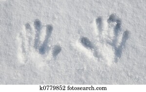 Little Snow Hands