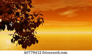 Sunset Sunset