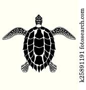 turtle turtle