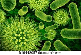 bacteria bacteria