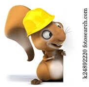 Fun squirrel Fun squirrel