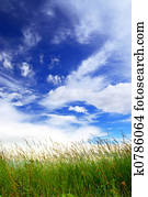 Grass and sky