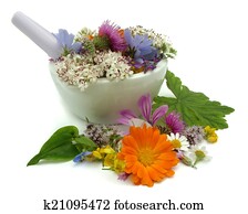 Herbs Herbs