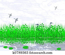 Marshland Marshland