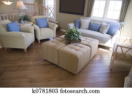 Modern Home Interior