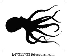 octopus octopus