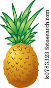 Pineapple Pineapple