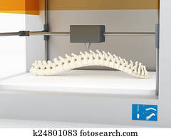 3d printed human spine 3d printed human spine