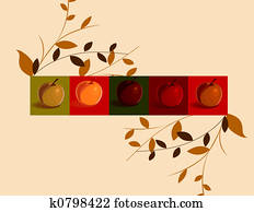 apples apples