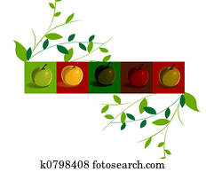 apples apples
