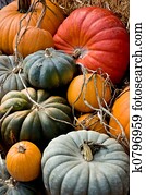 Autumn Harvest Autumn Harvest