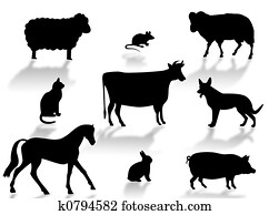 Farm animals Farm animals
