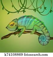illustration of chameleon illustration of chameleon