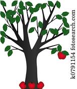 Last Apple Last Apple