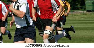 rugby rugby