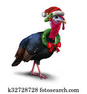 Seasonal Winter Turkey Seasonal Winter Turkey